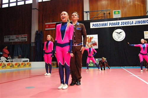 Obrázek v galerii