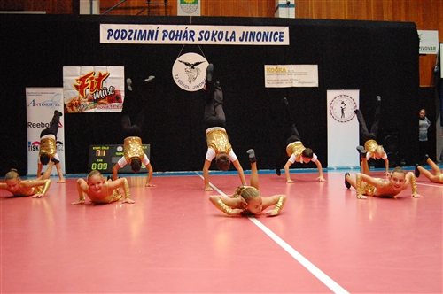 Obrázek v galerii