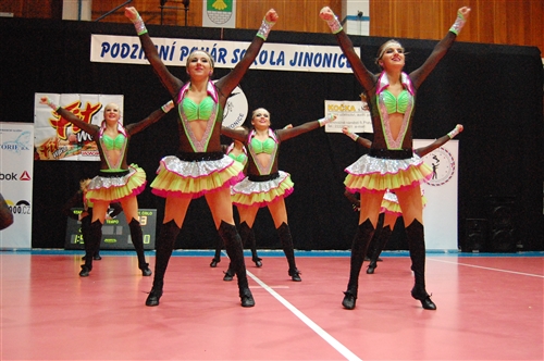 Obrázek v galerii