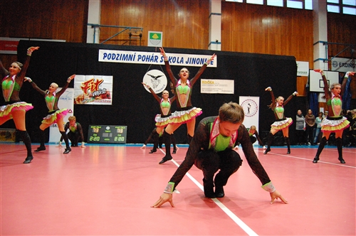 Obrázek v galerii