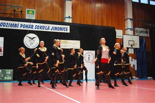 Obrázek v galerii