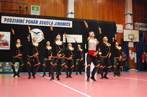 Obrázek v galerii