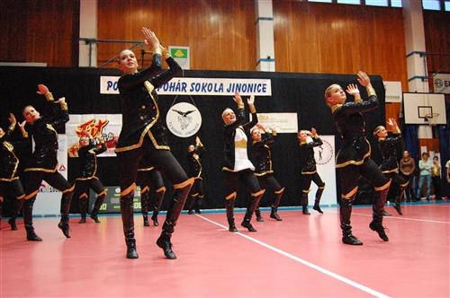 Obrázek v galerii