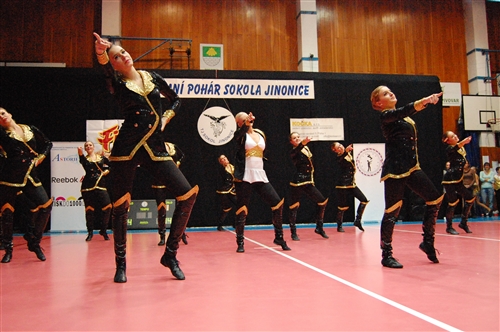 Obrázek v galerii