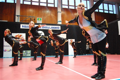 Obrázek v galerii