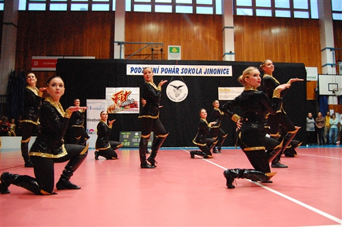 Obrázek v galerii