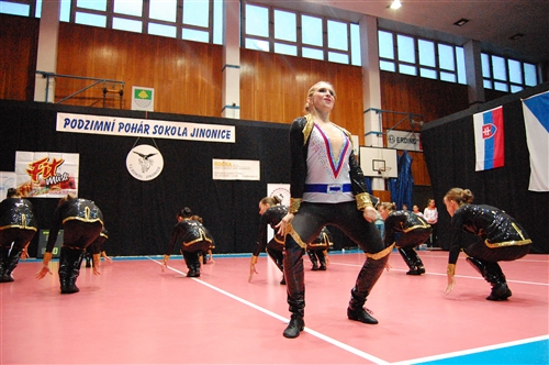 Obrázek v galerii