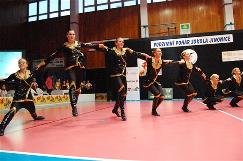 Obrázek v galerii