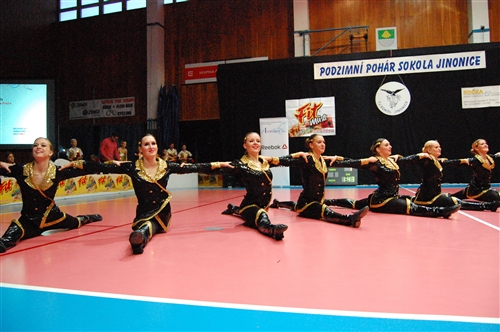 Obrázek v galerii