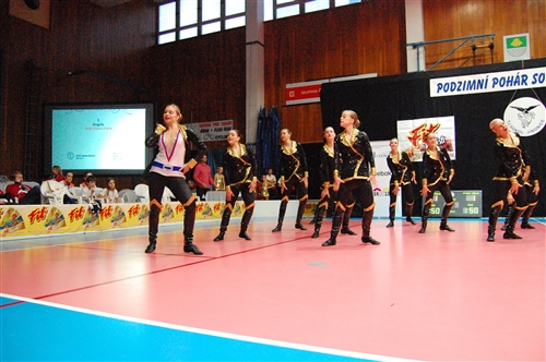 Obrázek v galerii