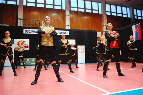Obrázek v galerii