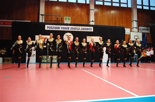 Obrázek v galerii