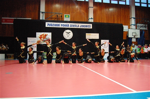Obrázek v galerii
