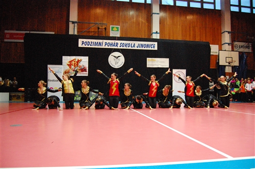 Obrázek v galerii