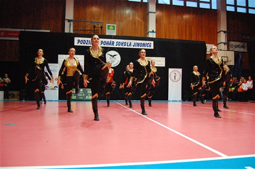 Obrázek v galerii
