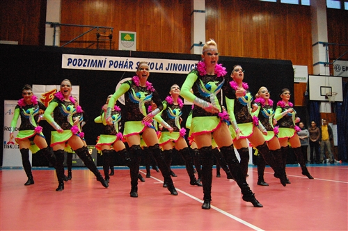 Obrázek v galerii
