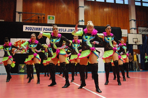 Obrázek v galerii
