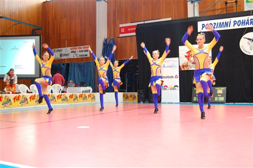 Obrázek v galerii