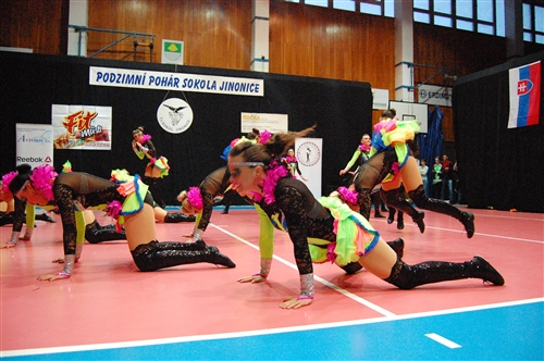 Obrázek v galerii