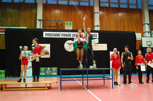 Obrázek v galerii