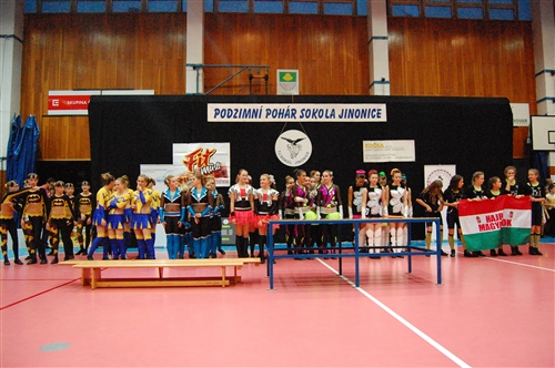 Obrázek v galerii
