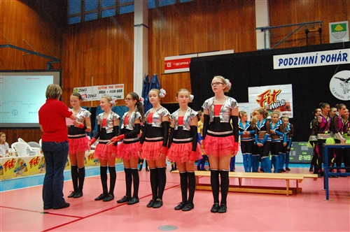 Obrázek v galerii
