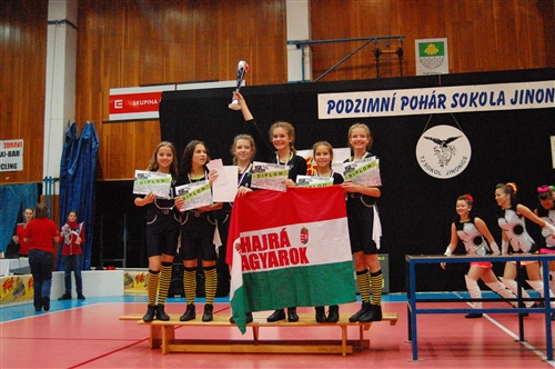 Obrázek v galerii