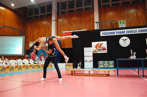 Obrázek v galerii