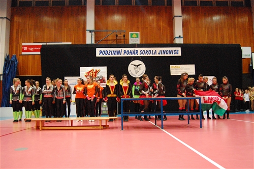 Obrázek v galerii