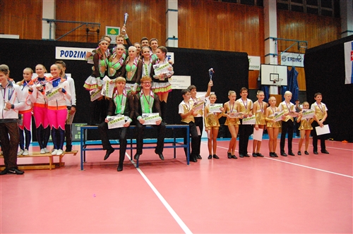 Obrázek v galerii