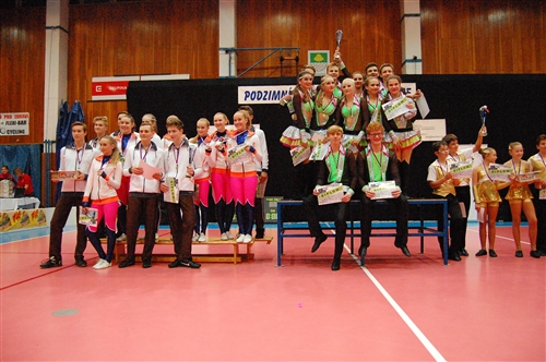 Obrázek v galerii