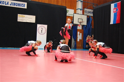 Obrázek v galerii
