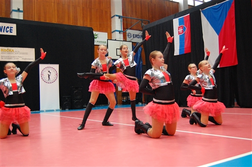 Obrázek v galerii
