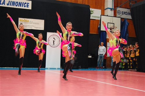 Obrázek v galerii